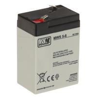 AKUMULIATORIUS 6V/5AH-MWS MW POWER