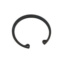 CHECK RING,ELASTIC, 380550177-0001