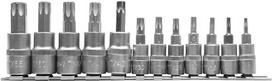 Įpresuotų antgalių rinkinys Torx 1/4" 3/8" T8-T55 Yato (YT-04331), 12 vnt.