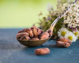 Ekologiškos Criollo kakavos pupelės, 500 g