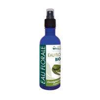 Eukaliptų citrinakvapių hidrolatas Eucalyptus citriodora, ekologiškas, 200 ml