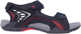 Basutės moterims DK Ciko Black Red, juodos, 36