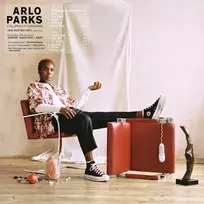 Arlo Parks - Collapsed In Sunbeams (vinilinė plokštelė, LP)