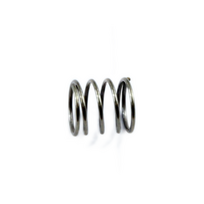SPRING,COMPRESSION, 381150123-0001