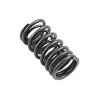 SPRING SET,VALVE, 140330018-0001