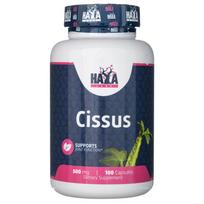 "Haya Labs" Cissus 500 mg - 100 kapsulių