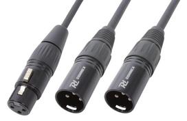 CX140 Kabelių skirstytuvas XLR female-2 XLR male