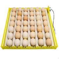 42/56 Kiaušinis vištoms ir paukščiams 44x44x6cm_42Eggs 7Rods