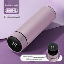 Changqi Stylish Insulated Smart Water Bottle