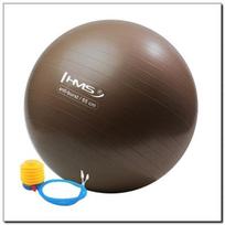 Gimnastikos kamuolys su pompa HMS YB02 65 cm, rudas