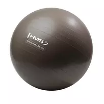 YB02N 65CM GRIZZLY GYM BALL HMS