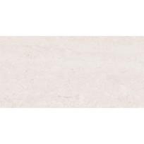 Mexen Dayno Bianco, glazūruotų akmens masės plytelių pavyzdys rek. G1, grindų-sienos plytelė, blizgesys - TL166-00-S