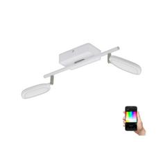 Eglo 97692 - LED RGB šviestuvas PALOMBARE-C 2xLED/5W/230V