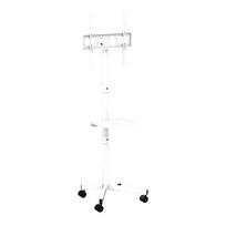 TV SET ACC FLOOR STAND 32-55"/TVS-55T-03-W GEMBIRD