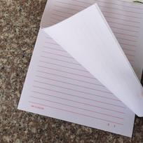 16k Red Single-Line Manuscript Paper - Thick Black Lines for College Students Red Single-lined Letterhead