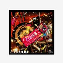 Pasiklydę vaikai : CIRKAS (CD STANDERTAS)