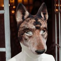 Vilko Galvos Kaukė Gyvūnas Karnavalui Cosplay ruda
