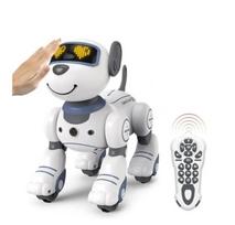 Radijo bangomis valdomas šuo robotas RC robot dog