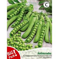 Daržovių sėklos, žirniai raukšlėtieji Ambassador, 20 g., 10291, C