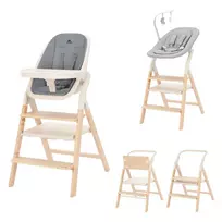 4in1 maintimo kėdutė ir gultukas Carrello Ergo, Carbon grey