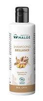 Šampūnas su imbiero ir ženšenio ekstraktais Brilliance, 200 ml