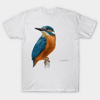 Marškinėliai Moteriški Kingfisher Detali paukščio iliustracija Harajuku Print Kawaii marškinėliai vasariniai trumpomis rankovėmis moteriški marškinėliai Top Tee XL