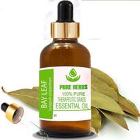 Pure Herbs Laurų lapas (Laurus nobilis) Gryno ir natūralaus terapinės klasės eterinio aliejaus stiklinė 5 ml