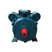 Reguliuojamo greičio vienfazis 220V variklis - 1,5kW/2,2kW/3kW