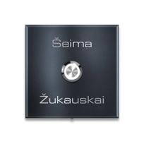 Durų skambutis, montuojamas ant sienos, antracito spalvos, graviruotas nerūdijantis plienas + LED mygtukas | Vera