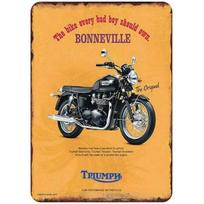 Triumph Norton Motociklo Metalinės Skardinės Ženklai Vintažinis Sieninis Plakatas Retro Geležies Tapyba Metalo Plokštelė Barui, Kavinei, Garažui, Namams 20x30cm（7.8x11.8inch）