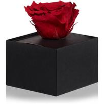 RoseAmor Red stabilizuota rožė dėžutėje 1 vnt.