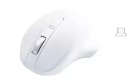 Matias Wireless USB-C P ro Mouse White