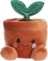AURORA PALM PALS Pliušinis augalas vazonėlyje, 11 cm