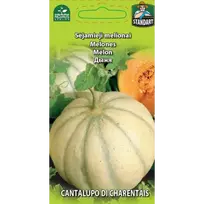 Melionai Cantalupo di Charentais