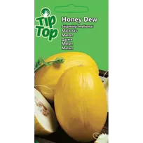 Melionai Honey Dew TipTop