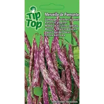 TIP TOP Žemaūgės daržinės pupelės Merveille de Piemonte