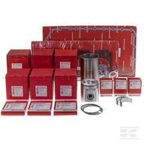 Variklio komplektas (remontas rėme) 4 cilindrų modelis 4045T VPB9187