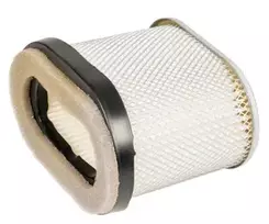 Oro filtras Briggs & Stratton Quantum naujo tipo ovalus