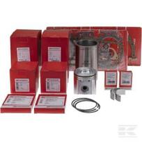 Variklio komplektas (remontas rėme) 3 cilindrų modelis 3179D VPB9183