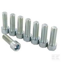 Varžtų komplektas M16x50 912 10.9 225000014