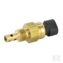 Oro temperatūros daviklis RE61812