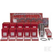 Variklio komplektas (remontas rėme) 6 cilindrų modelis 6068T VPB9191