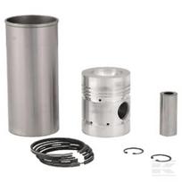 Variklio remonto komplektas (tinka MF 4 cilindrų) 269031358348