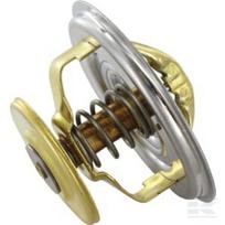 Termostatas, tinka NH 500365249KR