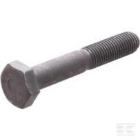 Sraigtas CI021105