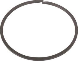 Segmentinis žiedas 11026181
