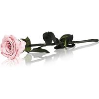 RoseAmor Pink stabilizuota rožė ant stiebo 30 cm 1 vnt.