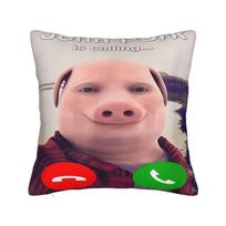 John Pork skambina Pagalvės užvalkalas Kvadratinis pagalvės užvalkalas Dvipusis spausdinimas Trumpas pliušas Sofa pagalvė Miegamojo naktinio staliuko pagalvės užvalkalas 30cm x 30cm