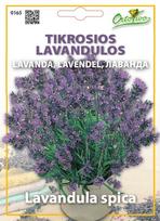 Gėlių sėklos, ORTOVIVO tikrosios levandos, 0,25 g., C