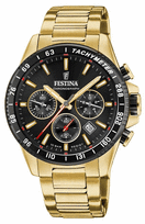 Vyriškas Laikrodis FESTINA TIMELESS CHRONOGRAPH 20634/5